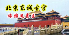 干欧美黒女人大BB中国北京-东城古宫旅游风景区